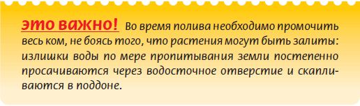 Татьяна Дорошенко - Плодоносящие растения