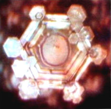 Александр Белый, Тамара Белая - Тайная Доктрина дней Апокалипсиса. Книга 1