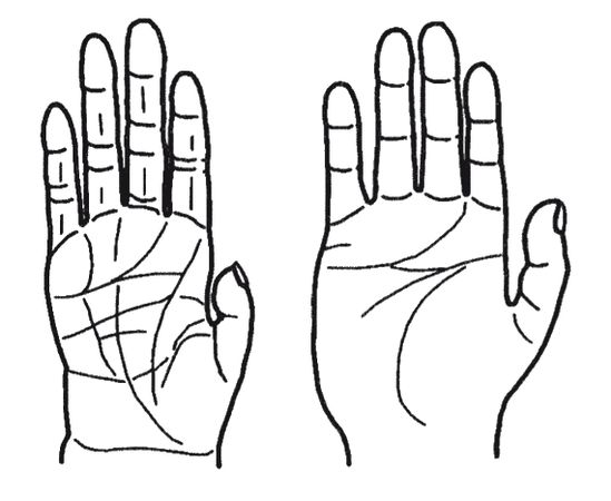 Кит Харрисон - Странности нашей эволюции