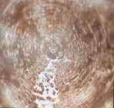 Александр Белый, Тамара Белая - Тайная Доктрина дней Апокалипсиса. Книга 1