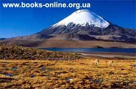 Малькольм Лаури - У подножия вулкана