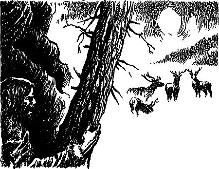 Владимир Головин, Виктор Мироглов и др. - Бронзовый топор