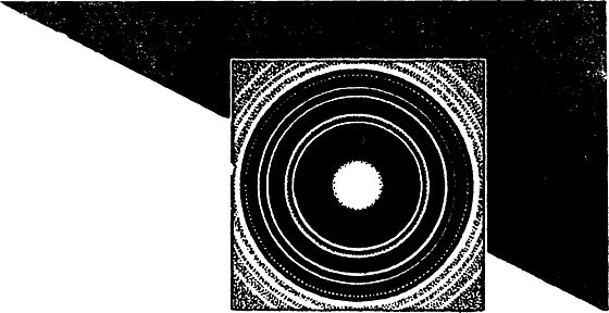Виталий Рыдник - Охотники за частицами