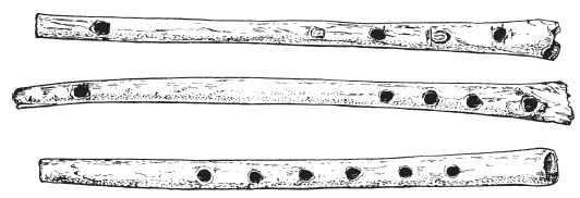 Малькольм Тодд - Варвары. Древние германцы. Быт, религия, культура