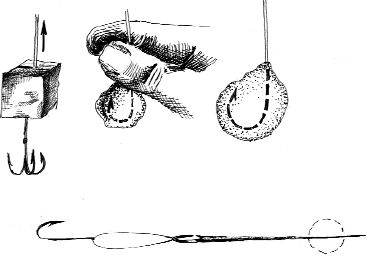 Ирина Катаева - Особенности ловли рыб семейства карповых