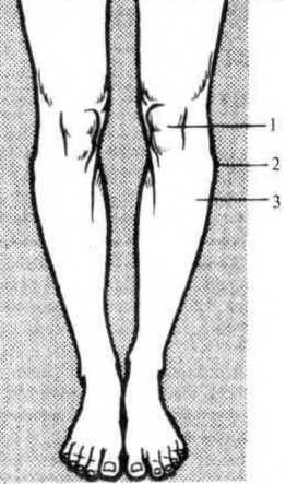 Джозеф Хавилер - Тело танцора