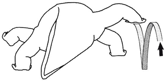 Кит Харрисон - Странности нашей эволюции