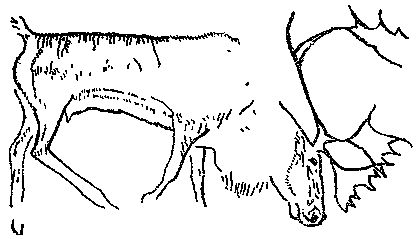 Леонид Серебрянный - Древнее оледенение и жизнь