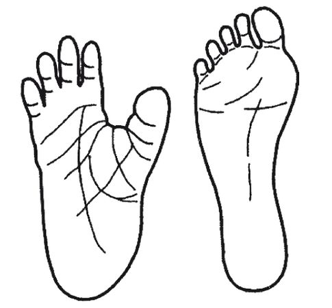 Кит Харрисон - Странности нашей эволюции