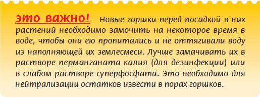 Татьяна Дорошенко - Плодоносящие растения