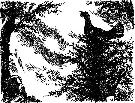 Владимир Головин, Виктор Мироглов и др. - Бронзовый топор