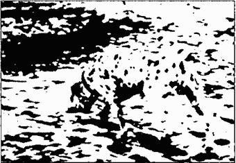 Девид Майерс - Социальная психология