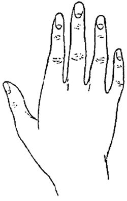 Елена Лома - Лучшие гадания от А до Я