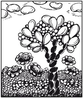 Елена Каминская - Мозаика из крупы и семян