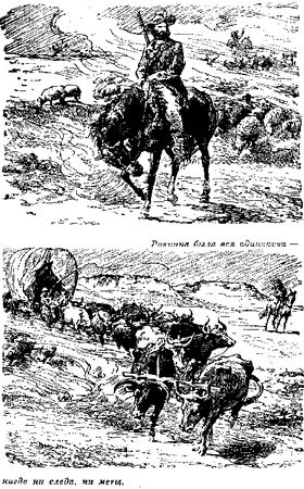 Томас Рид - Собрание сочинений, том 4. В дебрях Южной Африки. Юные охотники....