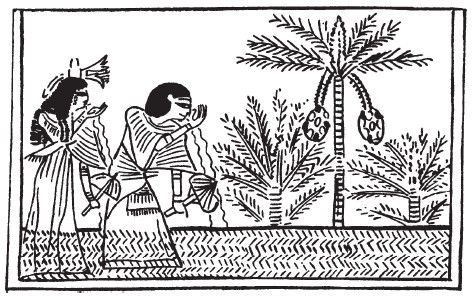 Уоллис Бадж - Магия Древнего Египта. Тайны Книги мертвых