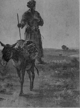 Михаил Шевердин - Санджар Непобедимый