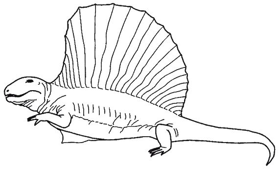 Кит Харрисон - Странности нашей эволюции