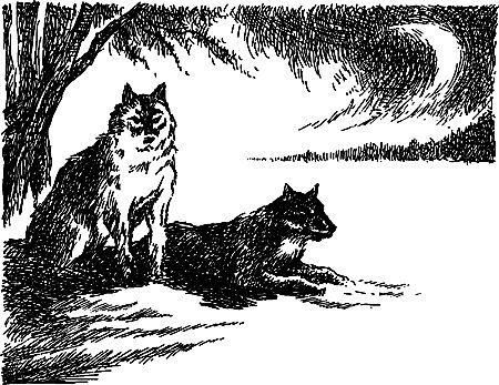 Владимир Головин, Виктор Мироглов и др. - Бронзовый топор