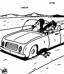 Девид Майерс - Социальная психология