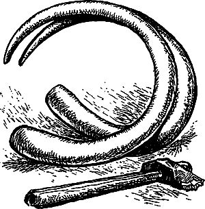 Владимир Головин, Виктор Мироглов и др. - Бронзовый топор