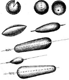 Ирина Катаева - Особенности ловли рыб семейства карповых