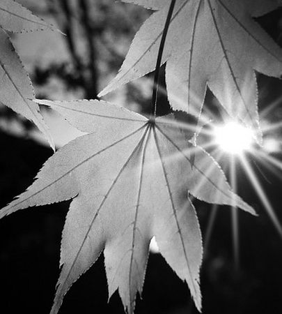 Зинаида Миркина - Нескончаемая встреча