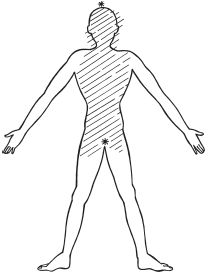 Дмитрий Верищагин - Зрелость. Система навыков Дальнейшего ЭнергоИнформационного...