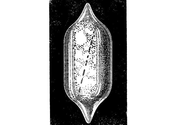 Виталий Рыдник - Охотники за частицами