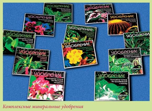 Татьяна Дорошенко - Плодоносящие растения