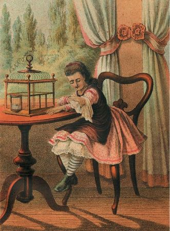 Марина Костюхина - Записки куклы. Модное воспитание в литературе для девиц...