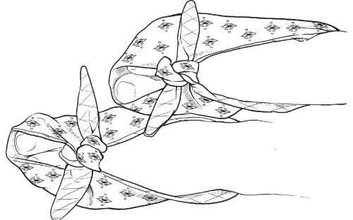 Ольга Захаренко - Обувь для дома своими руками