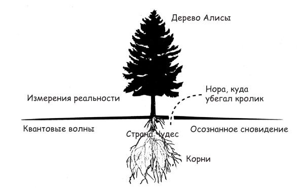 Арнольд Минделл - Квантовый ум. Грань между физикой и психологией