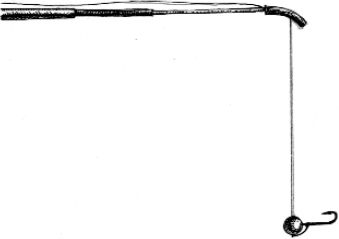 Ирина Катаева - Особенности ловли рыб семейства карповых