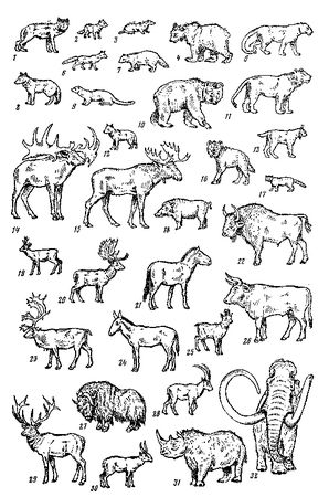 Леонид Серебрянный - Древнее оледенение и жизнь