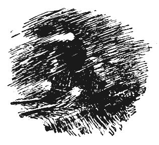 Георгий Шолохов-Синявский - Волгины