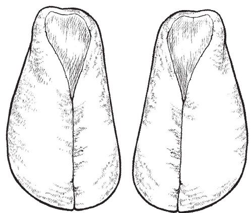 Ольга Захаренко - Обувь для дома своими руками