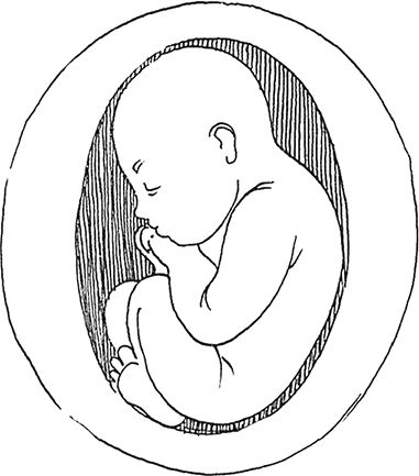 Михаил Задорнов - Сила чисел, или Задорная нумерология