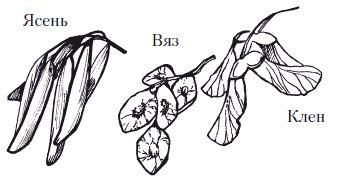 Елена Каминская - Мозаика из крупы и семян