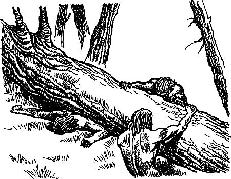 Владимир Головин, Виктор Мироглов и др. - Бронзовый топор