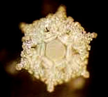 Александр Белый, Тамара Белая - Тайная Доктрина дней Апокалипсиса. Книга 1