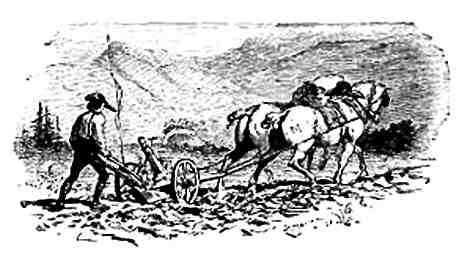 Владимир Свержин - Парадоксы полковника Ржевского