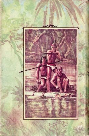 Луи Буссенар - Приключения в стране тигров