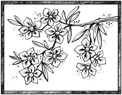 Елена Каминская - Мозаика из крупы и семян