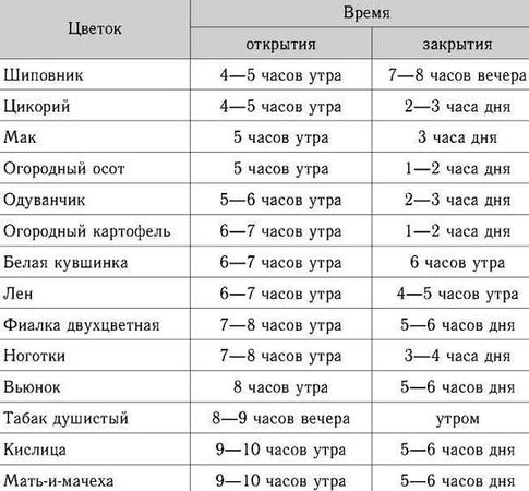 Крис Касперски - Энциклопедия примет погоды. Предсказание погоды по местным признакам