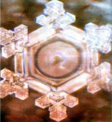 Александр Белый, Тамара Белая - Тайная Доктрина дней Апокалипсиса. Книга 1