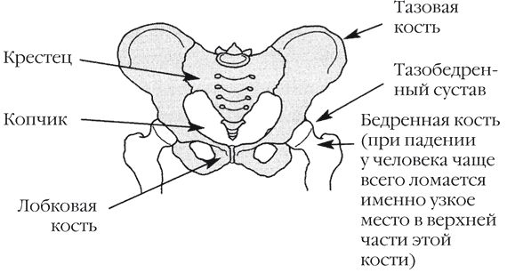 Кит Харрисон - Странности нашей эволюции