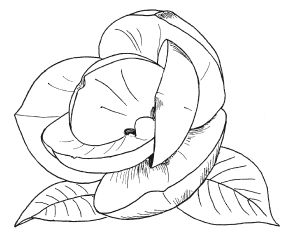 Елена Каминская - Поделки из бумаги, игрушки, сувениры и подарки