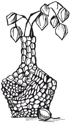 Елена Каминская - Мозаика из крупы и семян