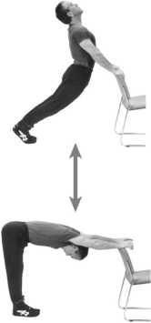 Дэн Миллман - Совершенное владение телом и разумом. Как добиться успеха в...